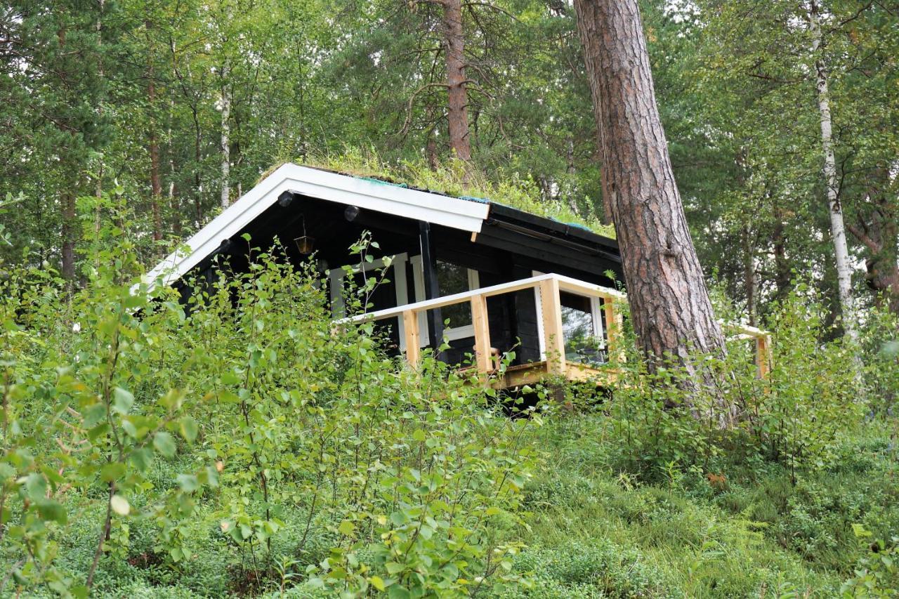 Bed and Breakfast Birk Bed & Birds Svanvik Esterno foto
