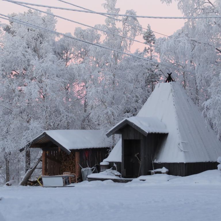 Bed and Breakfast Birk Bed & Birds Svanvik Esterno foto
