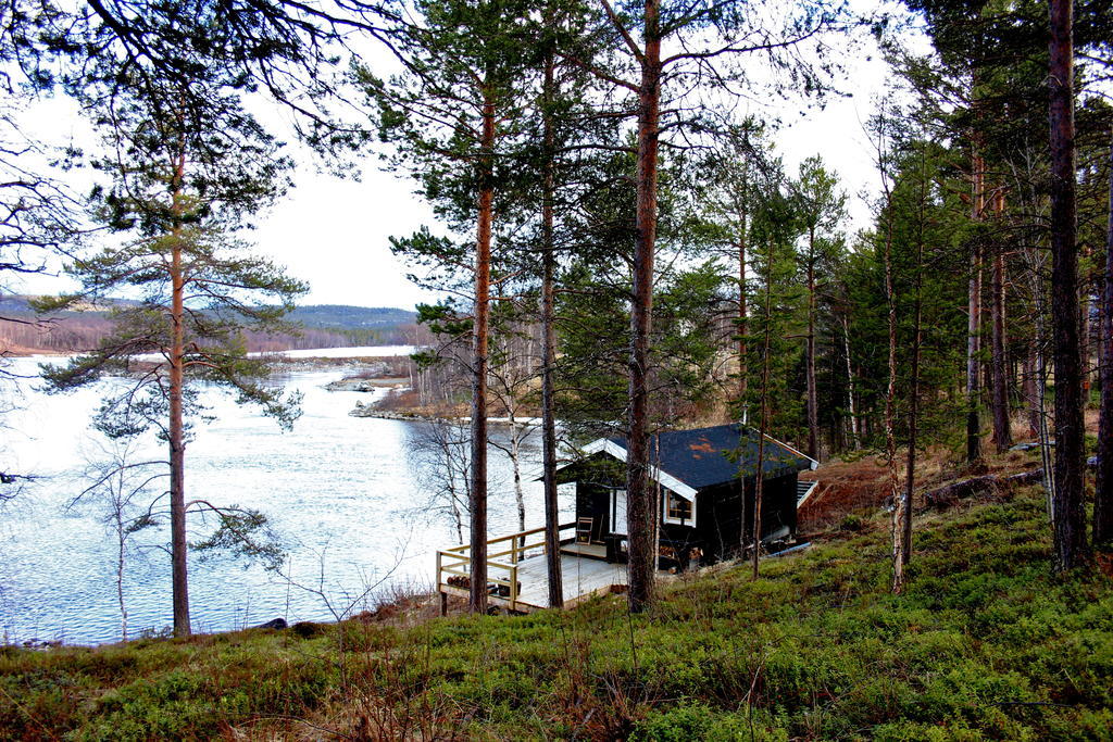 Bed and Breakfast Birk Bed & Birds Svanvik Esterno foto
