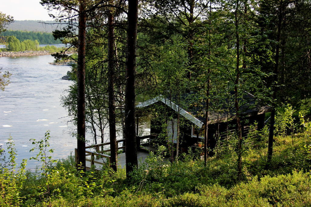 Bed and Breakfast Birk Bed & Birds Svanvik Esterno foto