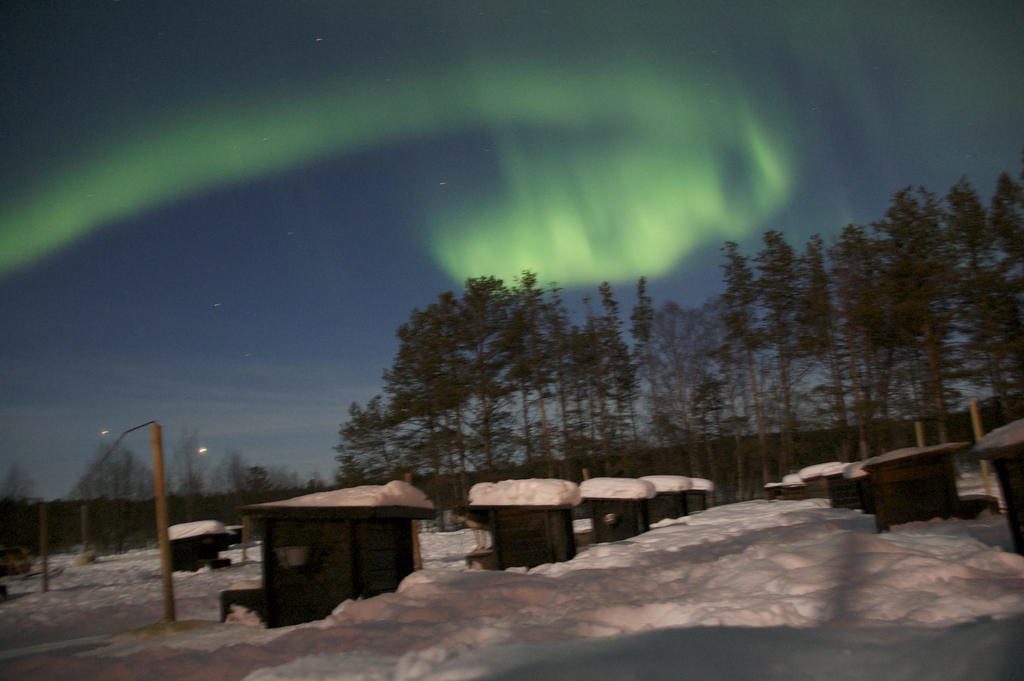 Bed and Breakfast Birk Bed & Birds Svanvik Esterno foto